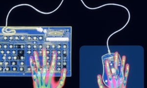 X-ray of Hands on Mouse and Keyboard