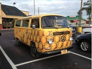 Honeycomb VW
